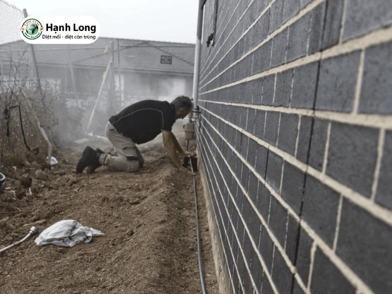 Diệt mối cho trường học