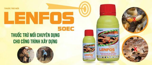 10 phương pháp diệt mối sinh học hiệu quả tại nhà 