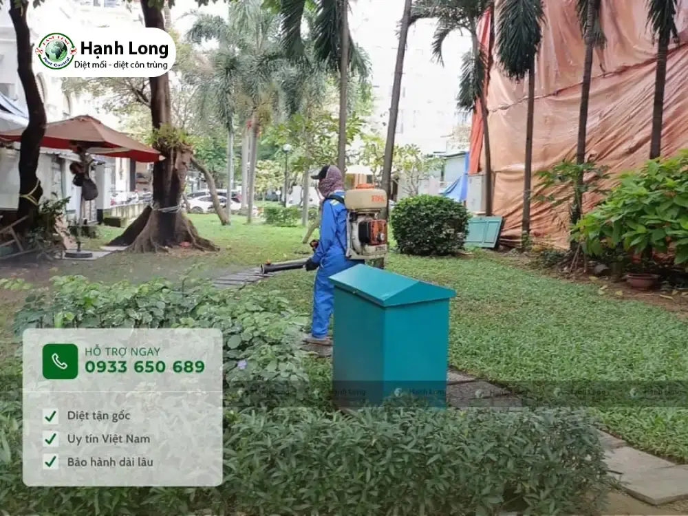 Diệt mối trường học