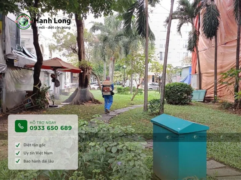 dịch vụ diệt bọ chét