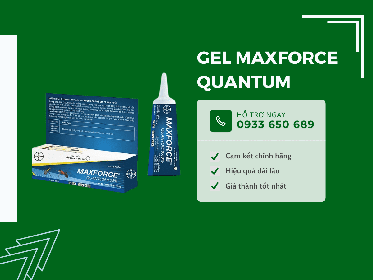 Thuốc dạng Gel Maxforce Quantum