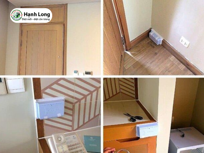 bả diệt mối an toàn Xterm AG