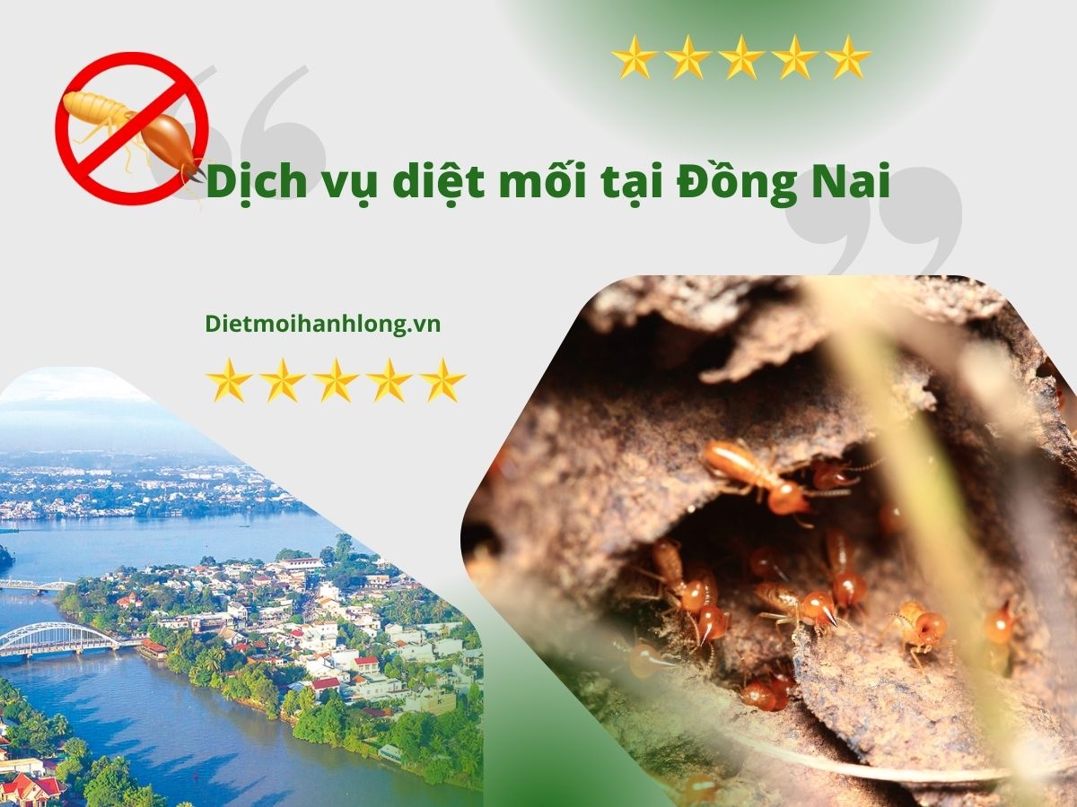 Dịch Vụ Diệt Mối Tại Đồng Nai Uy Tín – Hạnh Long