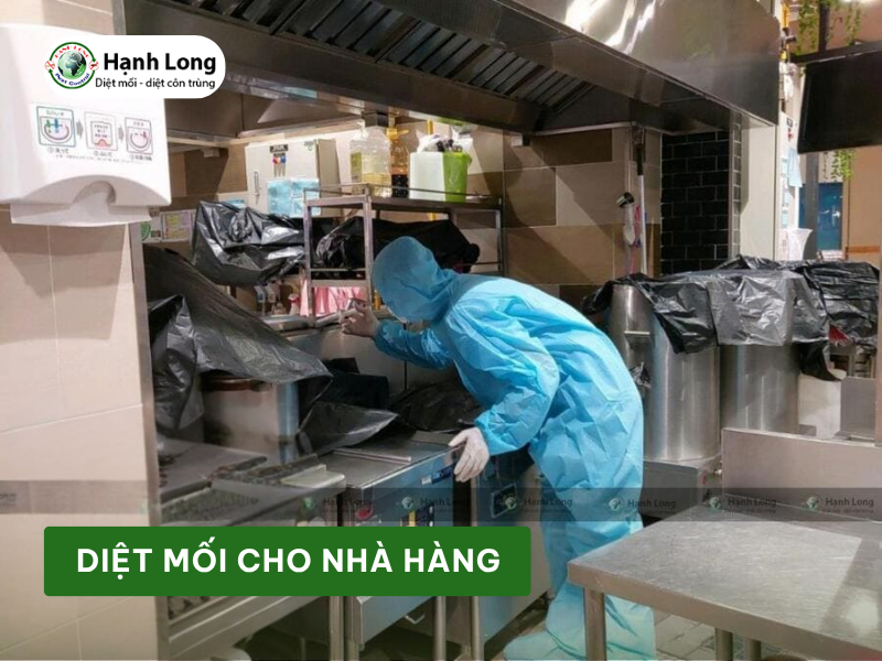 Diệt mối cho nhà hàng