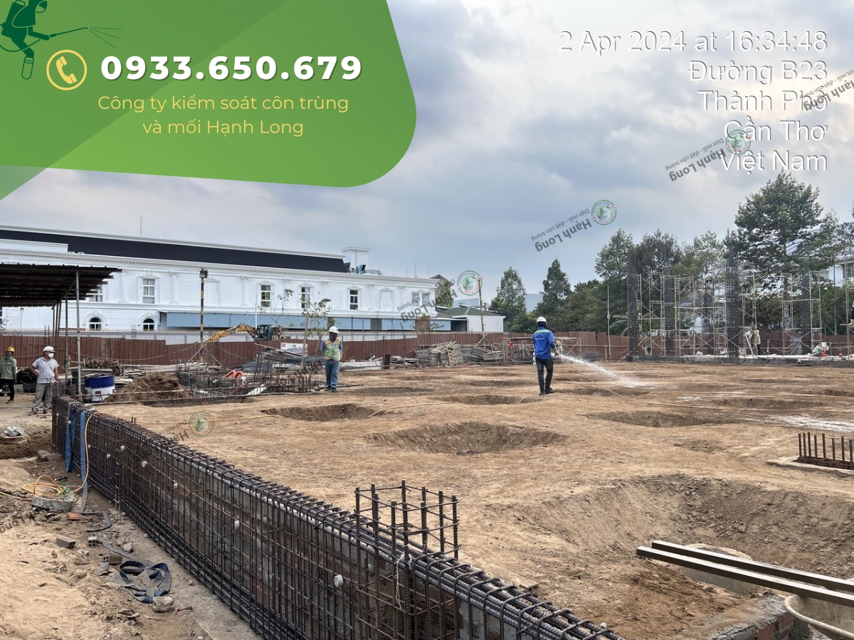 Đội ngũ đang thi công chống mối tại công trình