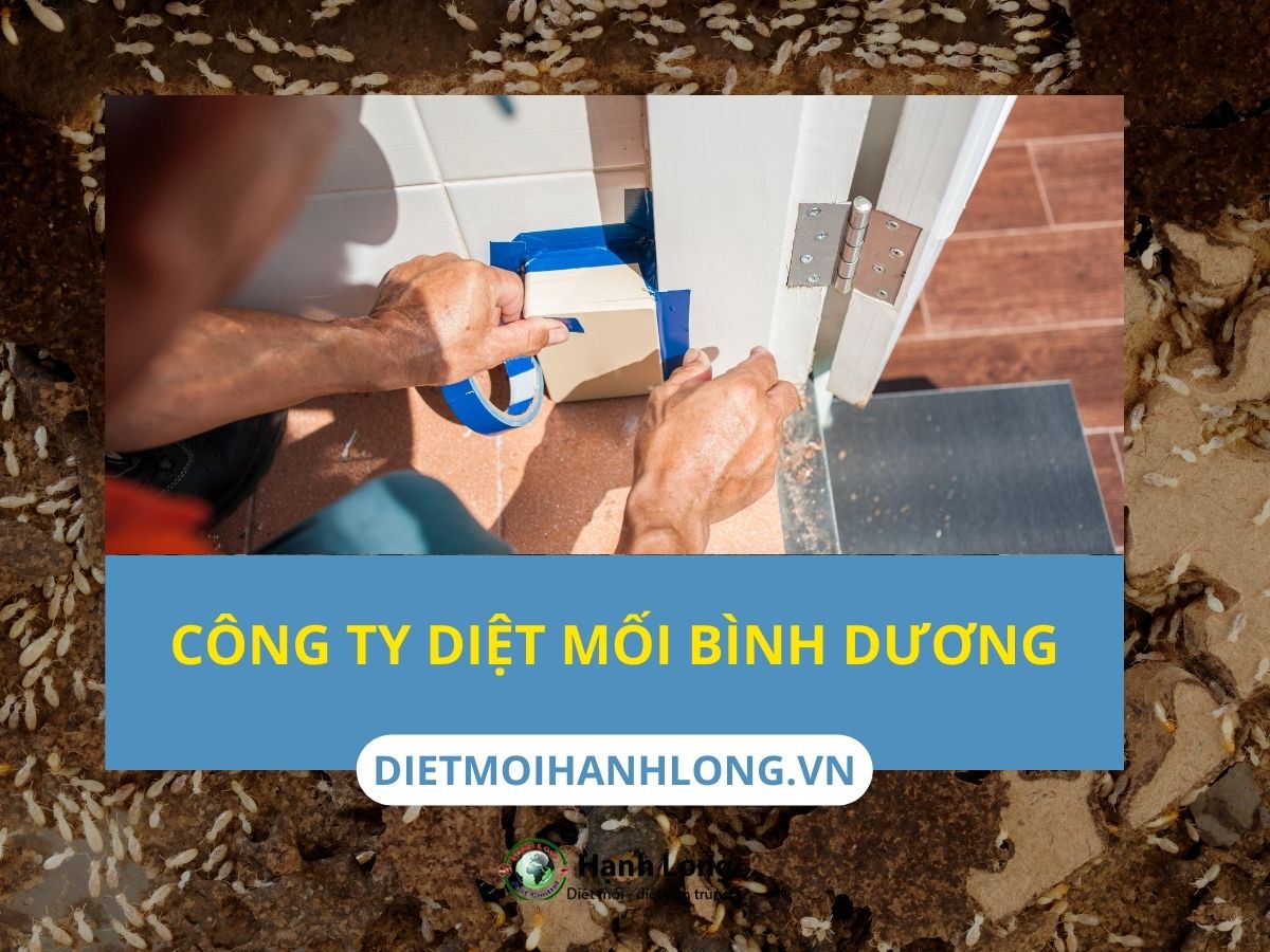 Công ty diệt mối tại Bình Dương