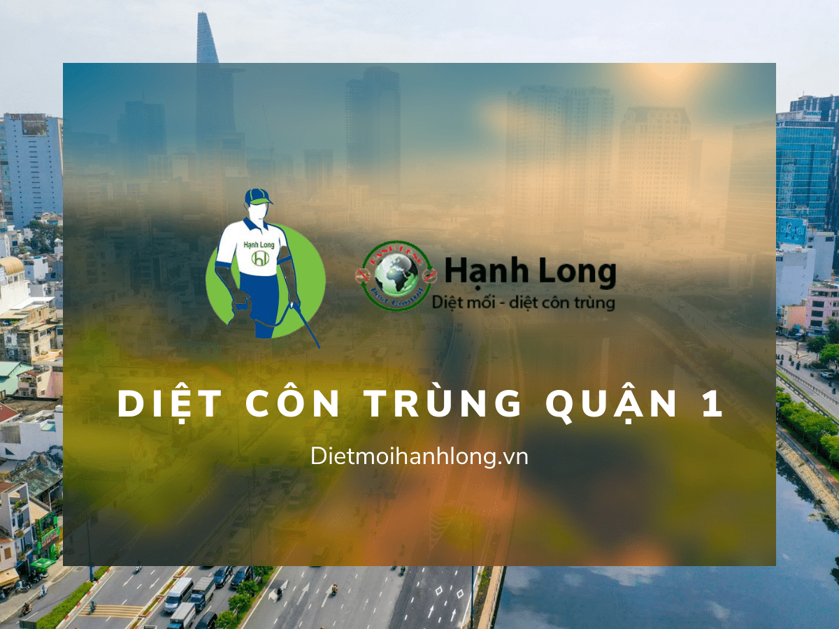 Diệt Côn Trùng Tại Quận 1 Giá Tốt, Chuyên Nghiệp