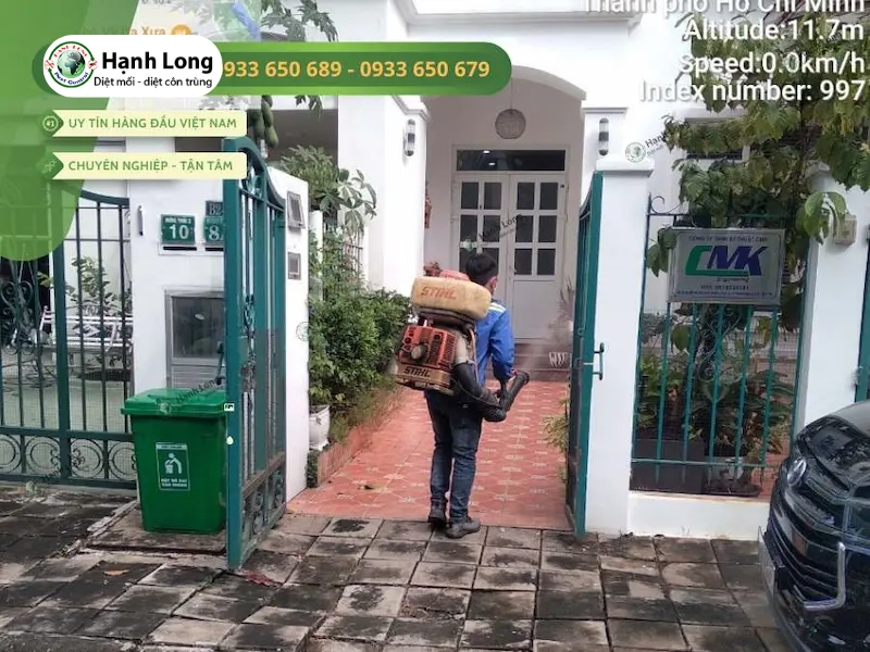 Giải pháp xử lý mối tận gốc từ chuyên gia Hạnh Long