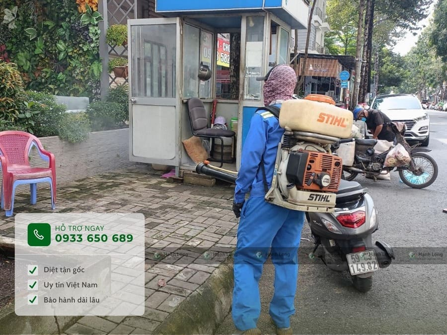 dịch vụ diệt mối côn trùng