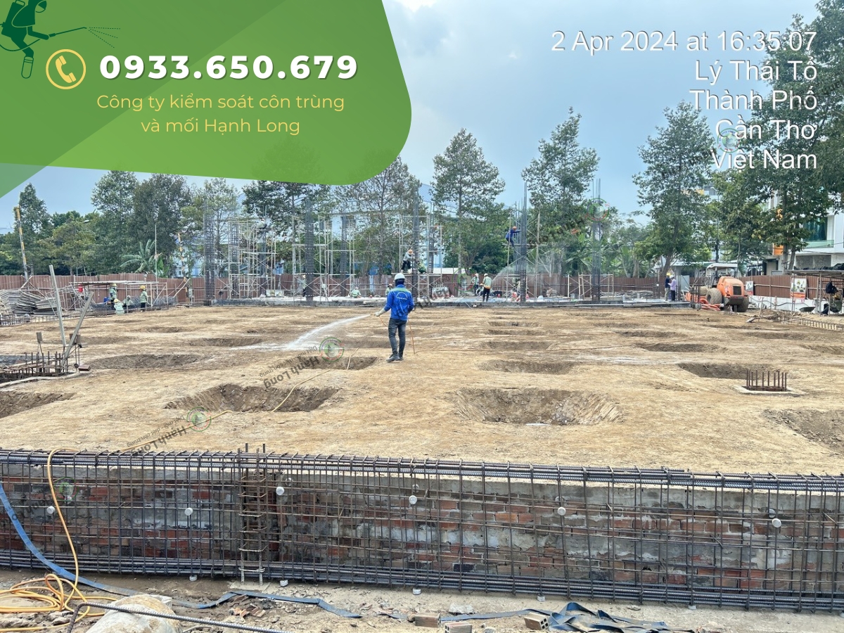 Đội ngũ đang thi công chống mối tại công trình