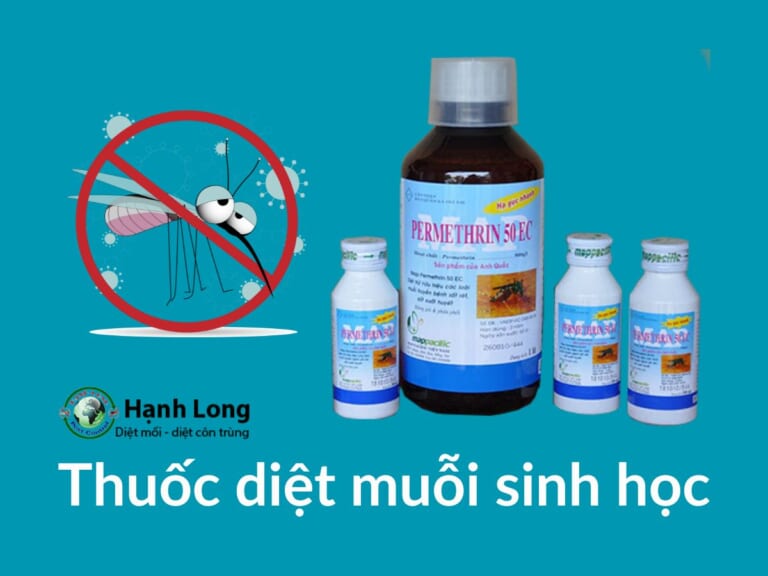 Top 3 loại thuốc trừ muỗi sinh học an toàn, hiệu quả cho gia đình