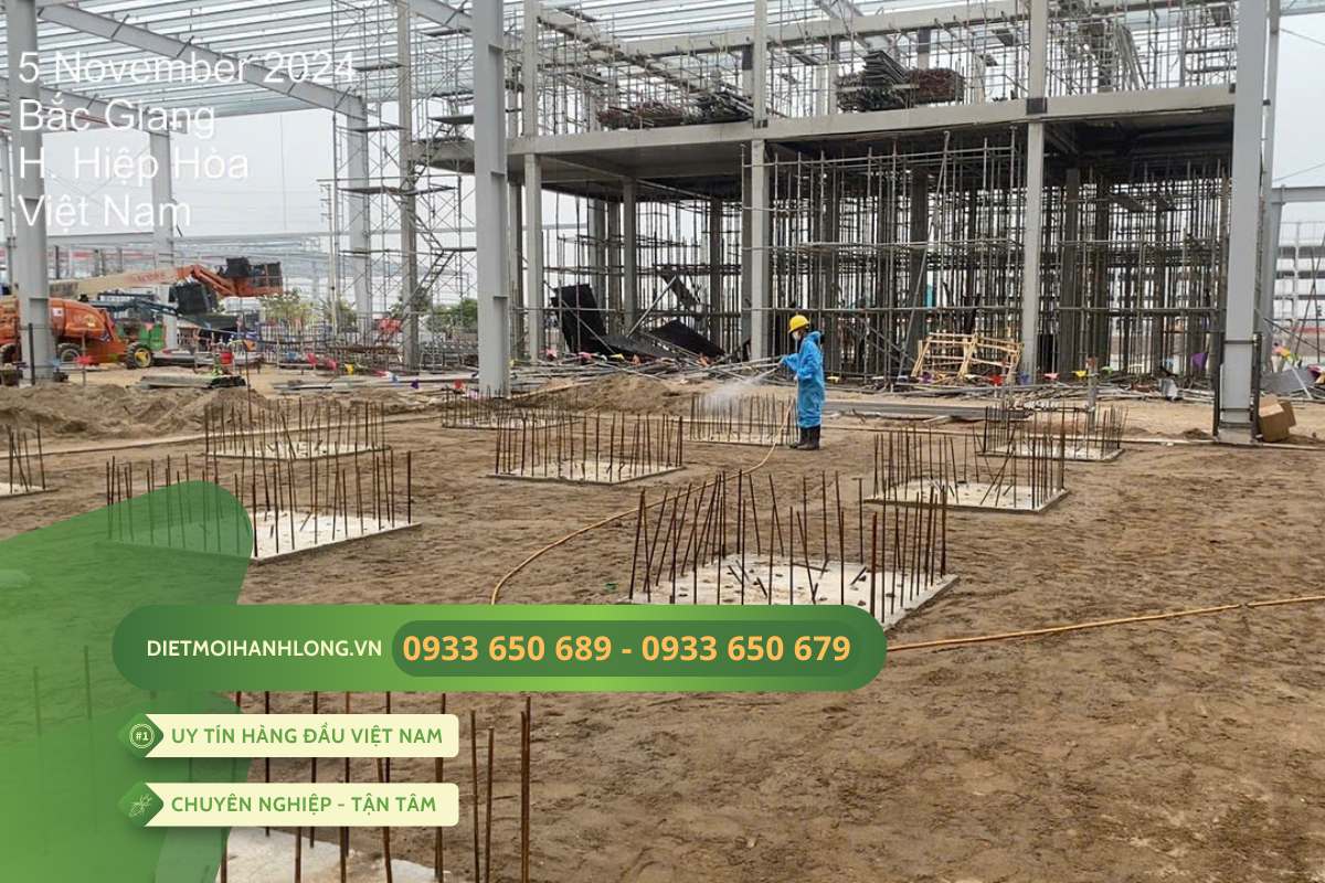 Triển khai thi công chống mối cho dự án MAPLETREE BẮC GIANG