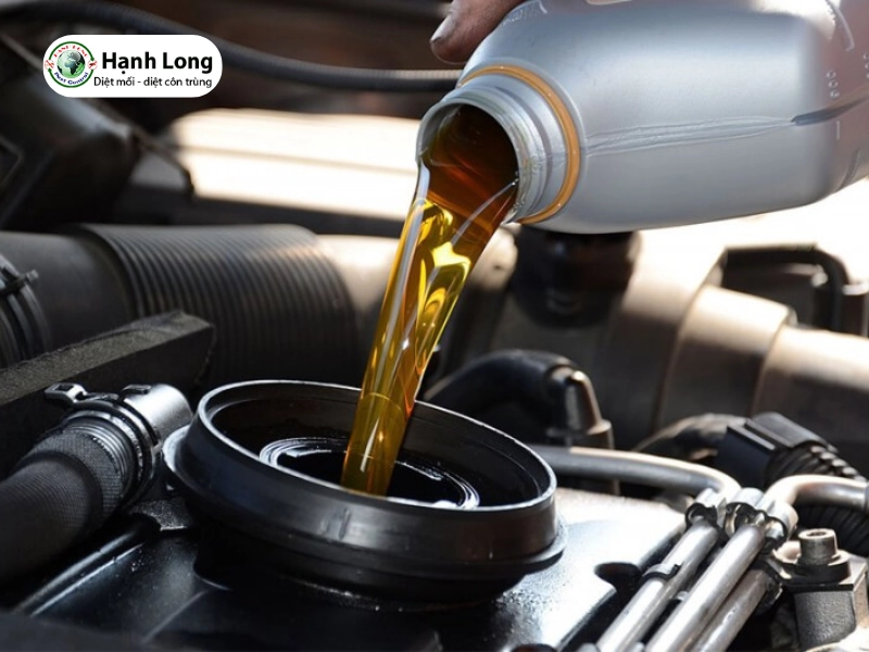 Các bước diệt mối bằng dầu nhớt, dầu luyn tại nhà