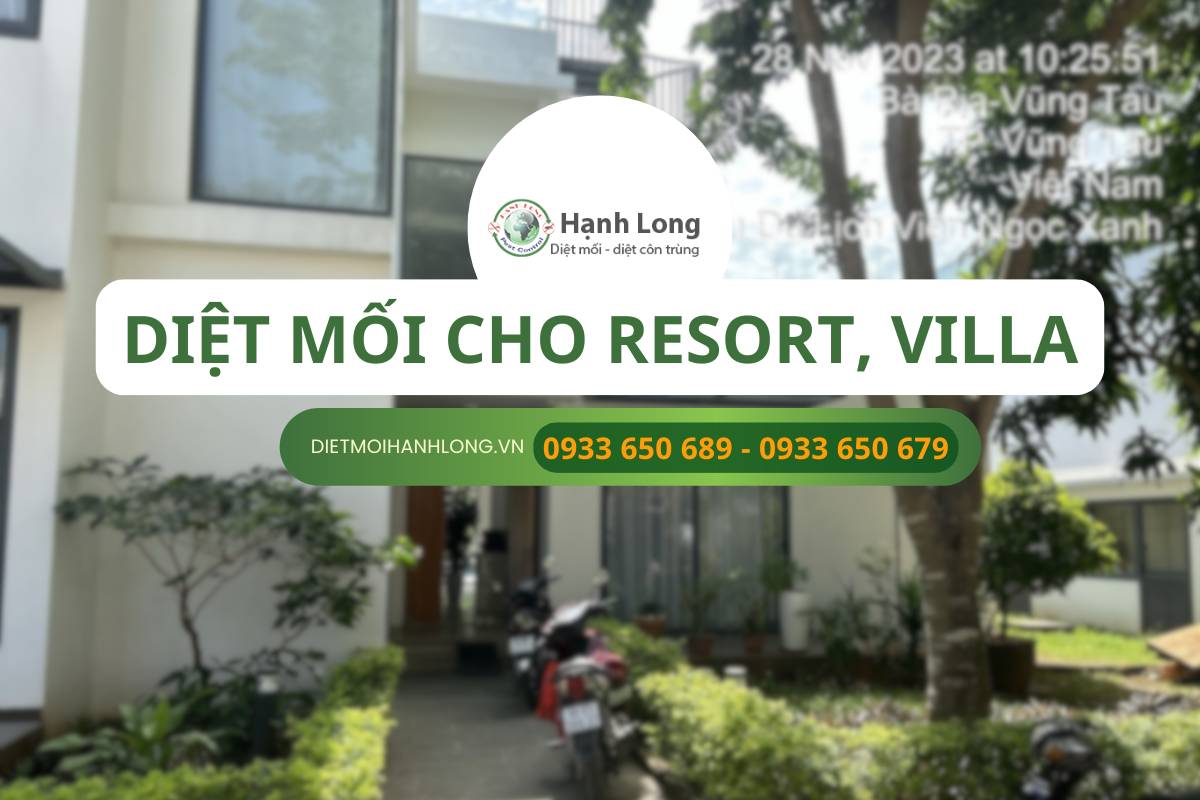 Diệt mối cho Resort
