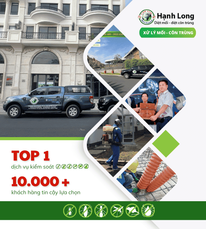 Công ty Diệt mối Hạnh Long